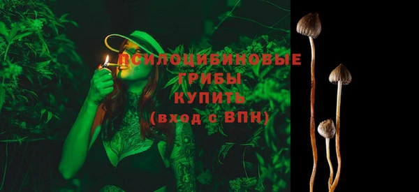 гашик Армянск