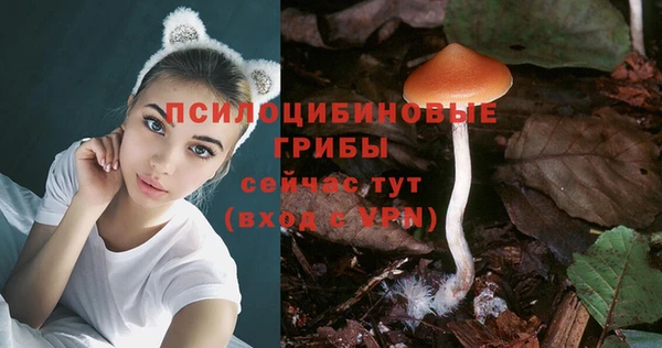 бошки Арсеньев