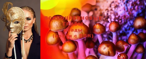 гашик Армянск
